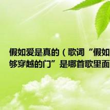 假如爱是真的（歌词“假如爱是能够穿越的门”是哪首歌里面的）