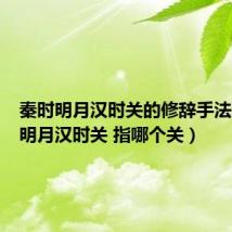 秦时明月汉时关的修辞手法(秦时明月汉时关 指哪个关)