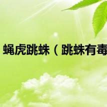 蝇虎跳蛛（跳蛛有毒吗）