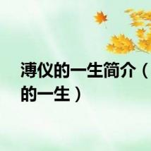 溥仪的一生简介（溥仪的一生）