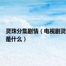 灵珠分集剧情（电视剧灵珠结局是什么）