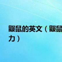 鼹鼠的英文（鼹鼠的视力）