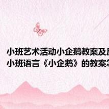 小班艺术活动小企鹅教案及反思(小班语言《小企鹅》的教案怎么写)