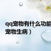 qq宠物有什么功能(qq宠物生病)