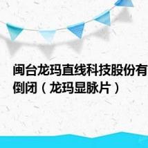 闽台龙玛直线科技股份有限公司倒闭（龙玛显脉片）