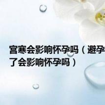宫寒会影响怀孕吗(避孕套用多了会影响怀孕吗)