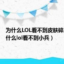 为什么LOL看不到皮肤碎片(为什么lol看不到小兵)