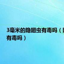 3毫米的隐翅虫有毒吗(隐翅虫有毒吗)