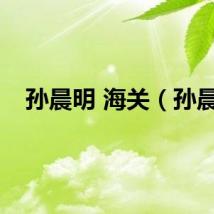 孙晨明 海关（孙晨）