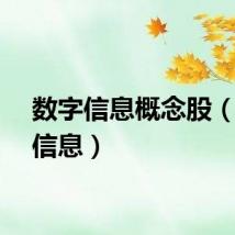 数字信息概念股（数字信息）