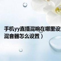 手机yy直播混响在哪里设置(YY混音器怎么设置)