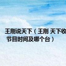 王刚说天下(王刚 天下收藏播出 节目时间及哪个台)