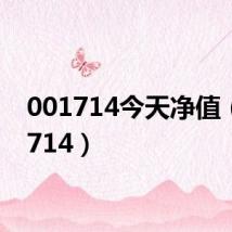 001714今天净值(001714)