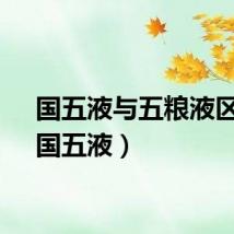 国五液与五粮液区别（国五液）