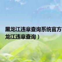 黑龙江违章查询系统官方网(黑龙江违章查询)