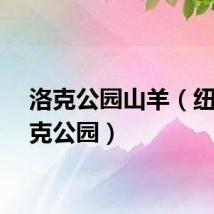 洛克公园山羊（纽约洛克公园）