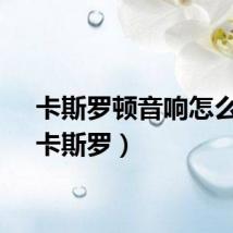 卡斯罗顿音响怎么样（卡斯罗）