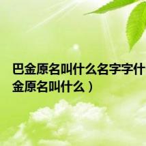 巴金原名叫什么名字字什么(巴金原名叫什么)
