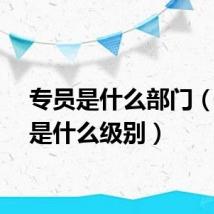 专员是什么部门（专员是什么级别）