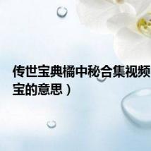 传世宝典橘中秘合集视频(传世宝的意思)