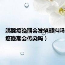 胰腺癌晚期会发烧颤抖吗(胰腺癌晚期会传染吗)