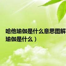 哈他瑜伽是什么意思图解(哈他瑜伽是什么)