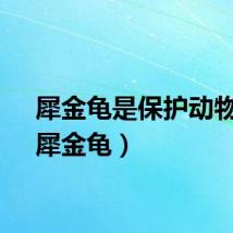 犀金龟是保护动物吗(犀金龟)
