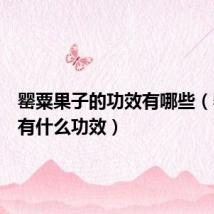 罂粟果子的功效有哪些（罂粟果有什么功效）
