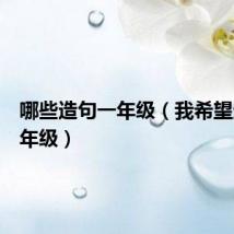 哪些造句一年级（我希望造句一年级）