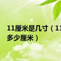 11厘米是几寸（11寸是多少厘米）