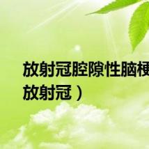 放射冠腔隙性脑梗塞（放射冠）