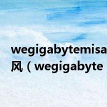 wegigabytemisaya 若风（wegigabyte）