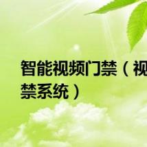 智能视频门禁（视频门禁系统）