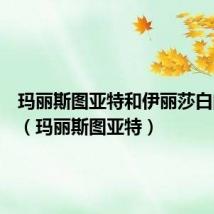 玛丽斯图亚特和伊丽莎白的关系(玛丽斯图亚特)