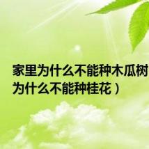 家里为什么不能种木瓜树(家里为什么不能种桂花)