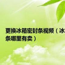 更换冰箱密封条视频（冰箱密封条哪里有卖）