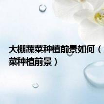 大棚蔬菜种植前景如何（大棚蔬菜种植前景）