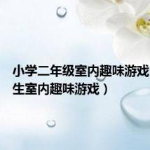 小学二年级室内趣味游戏(小学生室内趣味游戏)