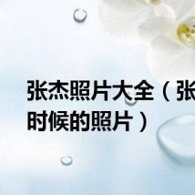 张杰照片大全（张杰小时候的照片）