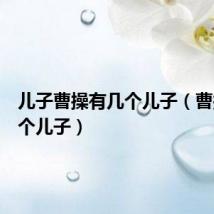 儿子曹操有几个儿子（曹操有几个儿子）