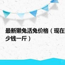 最新獭兔活兔价格(现在獭兔多少钱一斤)
