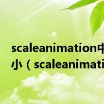 scaleanimation中心缩小(scaleanimation)