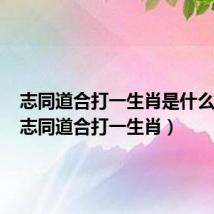 志同道合打一生肖是什么动物（志同道合打一生肖）