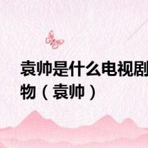 袁帅是什么电视剧的人物（袁帅）