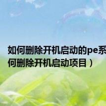 如何删除开机启动的pe系统(如何删除开机启动项目)
