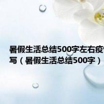 暑假生活总结500字左右疫情怎么写(暑假生活总结500字)