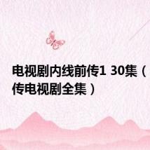 电视剧内线前传1 30集(内线前传电视剧全集)