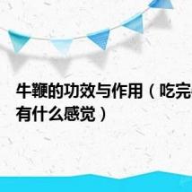 牛鞭的功效与作用(吃完牛鞭后有什么感觉)