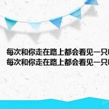 每次和你走在路上都会看见一只喵歌词(每次和你走在路上都会看见一只喵)