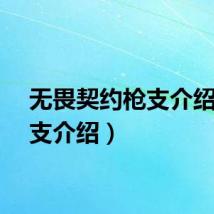 无畏契约枪支介绍（枪支介绍）